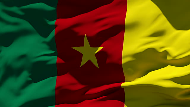 Drapeau du Cameroun - DR