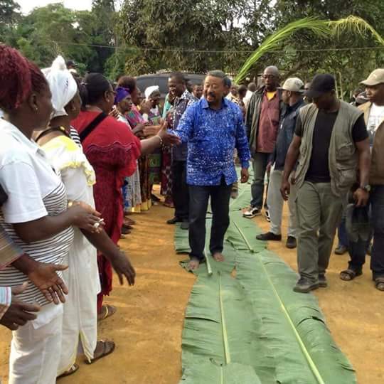 Jean Ping salue ses soutiens au Gabon