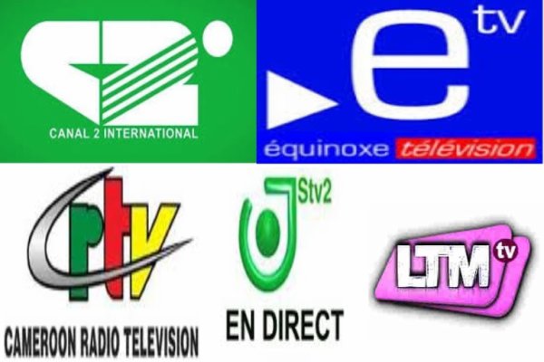 Entrada Personificación Riego Cameroun : Canal 2 et Equinoxe TV devancent Vision 4 dans un sondage  médiatique - Lebledparle