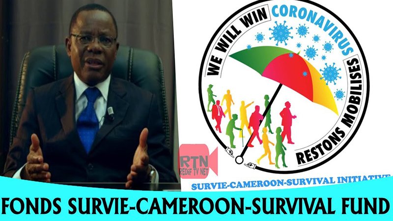 survie cameroon survival initiative